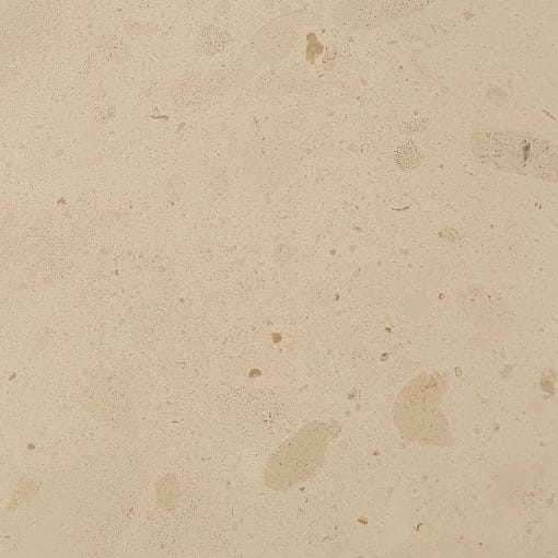 Crema Fossil