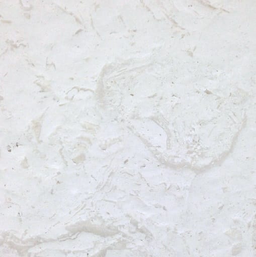 Limestone Coral Shell